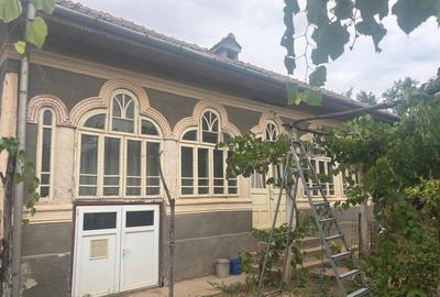 Casa recent renovata, 2023 mp teren, comuna Leu