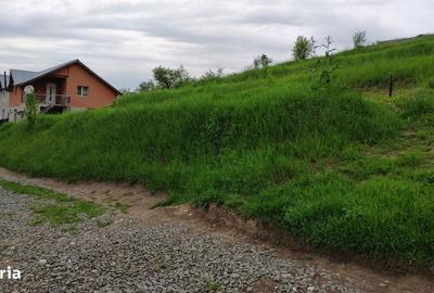 Teren de 2506 mp, în Suceagu - 3