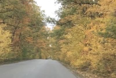 Casă cu 3 camere cu Teren 2000 Mp în Central - 8