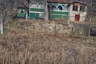 Casă cu 5 camere în Lacu - 2