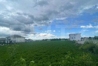 Spațiu comercial, în Viișoara - 4
