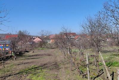 Casă cu 4 camere în Măderat - 8