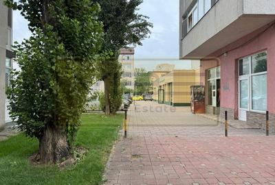 Apartament 2 camere decomandat Alexandru cel Bun - 14