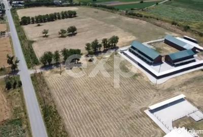 Teren în Crânguri - 12