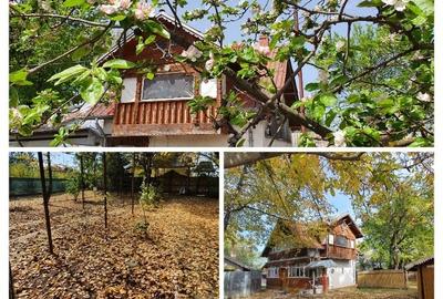 CASA + 3052m² TEREN INTRAVILAN - La iesirea A1 Olteni (30 min Buc) - 2