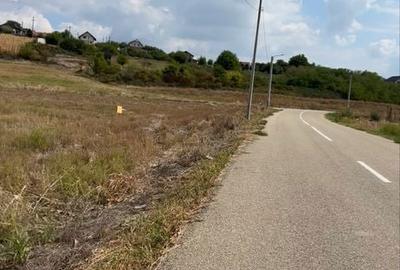Spațiu comercial, în Răcarii de Jos - 4
