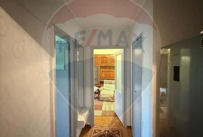 Apartament cu 2 camere decomandat, mobilat în Săsar - 7