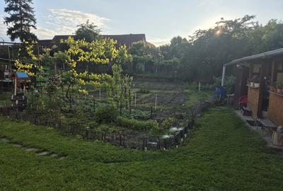 Casa de vanzarea - 6