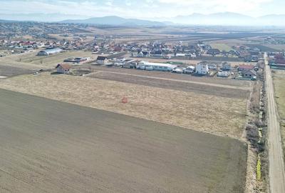 Teren Extravilan, P.U.Z. inceput - 19