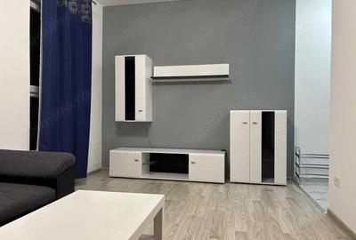 Apartament cu 2 camere semidecomandat, mobilat în Braytim - 2