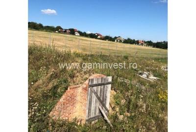 Spațiu comercial, în Cetariu - 2