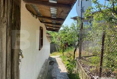 Casă cu 2 camere cu Teren 9500 Mp în Sacoșu Mare - 2