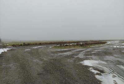 Teren 1000 mp, Carcea, front 11,57m - 1