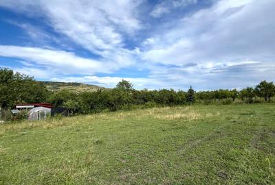 Teren Intravilan, 1055/ 527 Constructii, Centru Chinteni 21 Decembrie - 4