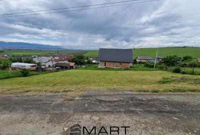 Teren intravila Sura Mare 1000mp - 2