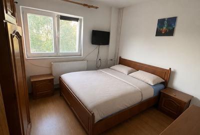 Apartament cu 3 camere decomandat în Gorjului - 9