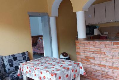 Casă cu 5 camere cu Teren 500 Mp în Petnic - 3