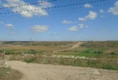 Teren de 13800 mp, în Smârdan - 9