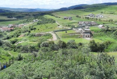 Casa si teren 3450mp, panorama superba asupra orasului - 6