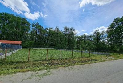 Teren de 700 mp, în Polovragi - 7