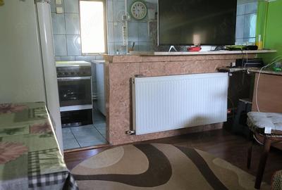 Casă cu 3 camere cu Teren 4700 Mp în Bohoghina - 7