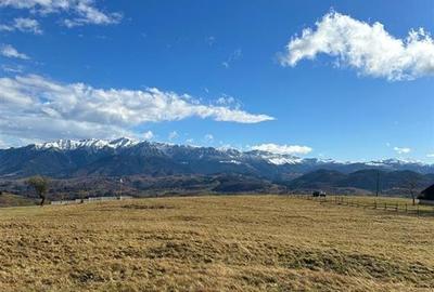 TEREN INTRAVILAN SIRNEA/ 4000 MP/ - 6