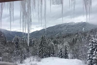 Predeal teren intravilan 4351 mp - 1