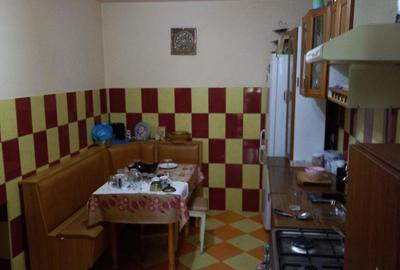 Casă cu 4 camere cu Teren 5400 Mp în Luduș - 4