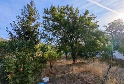 Teren de 1030 mp, în Chiroiu-Pământeni - 4