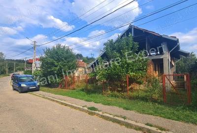 Casa batraneasca + 1462 mp teren de vanzare in Curtea de Arge?. - 12