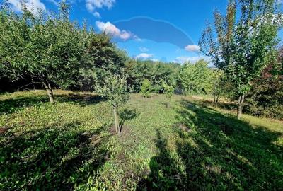 Teren 2,000mp Piatra-Neamt / Strada Pietrelor - 2