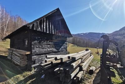 Teren Construcții intravilan de 10100 mp, în Munteni - 2