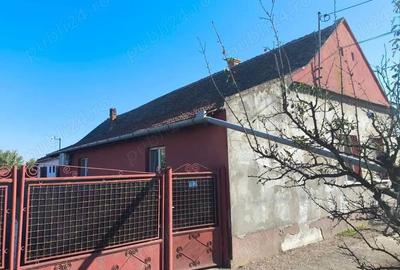 Casă cu 4 camere cu Teren 2158 Mp în Cenad - 6