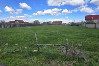 Teren parcelabil - 3