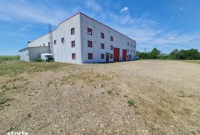 Spațiu comercial, de 40,000 mp, în Șagu - 8