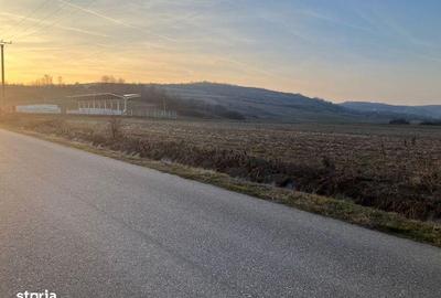 Teren de 2000 mp, în Crușeț