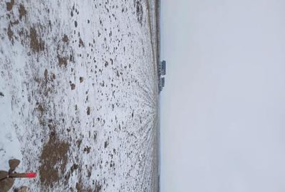Teren de 5000 mp, în Cărpiniș - 8