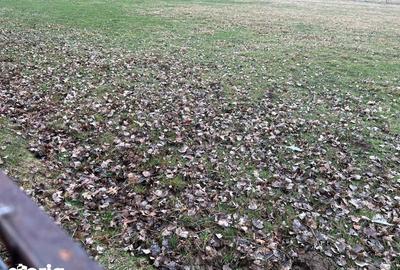 Teren de 3000 mp, în Horodnic - 1