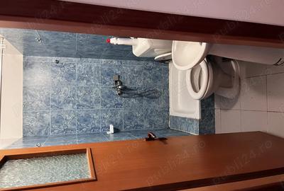 Garsonieră nedecomandată în Elisabetin - 5