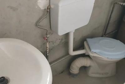 Vand casa cu teren de 2000mp in Bogdanesti - 10