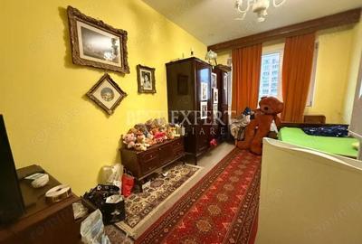 2 Camere Theodor Pallady Salajan - 2