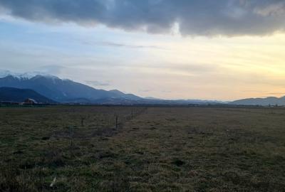 Teren Construcții intravilan de 1049 mp, în Râșnov - 3