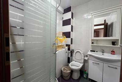 Apartament cu 3 camere semidecomandat, mobilat în Zorilor - 9