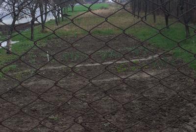 Casa de vanzare Balotesti - 7