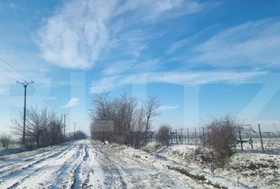 Teren de 50000 mp, în Ciorani - 5