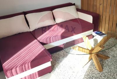 Apartament cu 1 camere decomandat, mobilat în Avantgarden - 3
