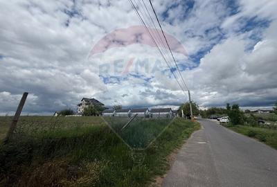 Teren intravilan de vanzare Pensiune Murighiol  Delta Dunarii Tulcea - 5