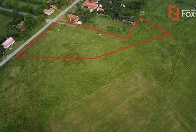 COMISION 0% Teren intravilan 6400 mp la drum asfaltat - Padureni - 4