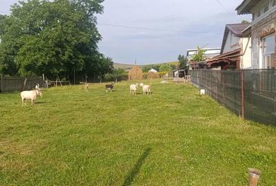 Teren intravilan, Carligi,com. Stefan cel Mare - 1