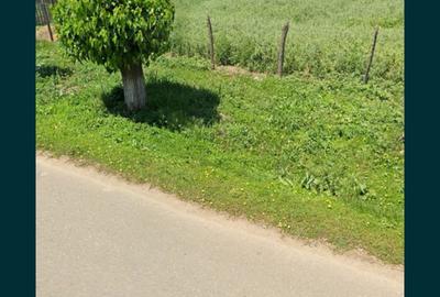 Teren de 4464 mp, în Curcani - 3